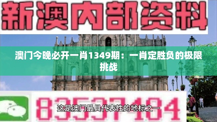 澳门今晚必开一肖1349期：一肖定胜负的极限挑战
