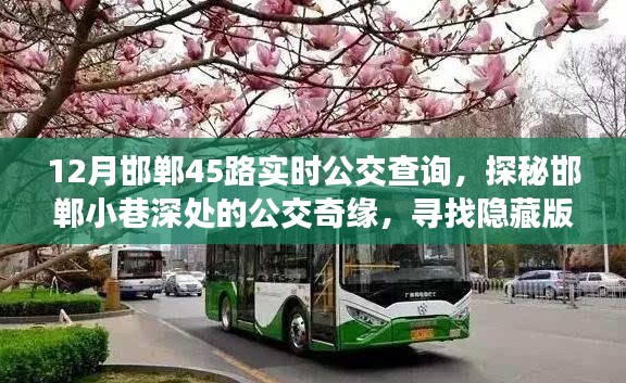 探秘邯郸小巷深处的公交奇缘，寻找隐藏版特色小店与公交实时查询指南（邯郸45路）