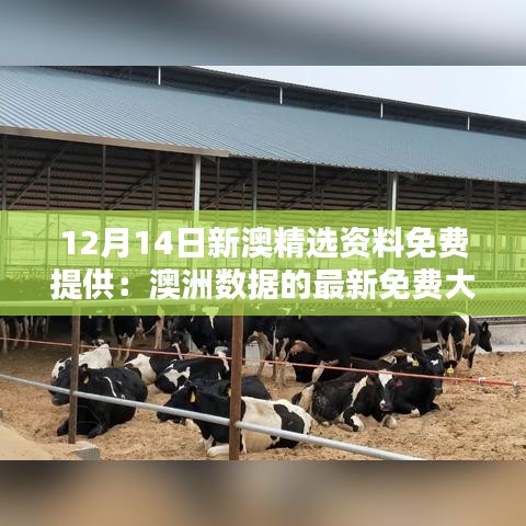 12月14日新澳精选资料免费提供：澳洲数据的最新免费大礼包