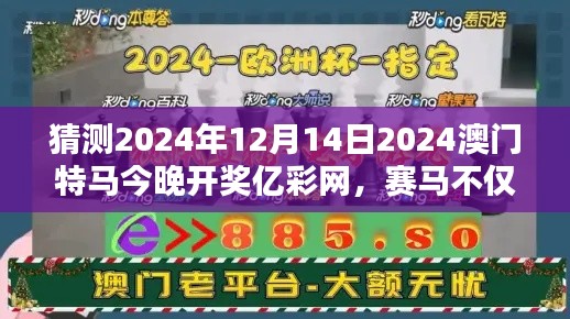 猜测2024年12月14日2024澳门特马今晚开奖亿彩网，赛马不仅仅是运气，还需智慧辅佐