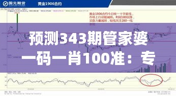 预测343期管家婆一码一肖100准：专家视角解读预测精准度