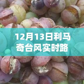 利马奇台风来袭，12月13日实时路况深度解析与报告