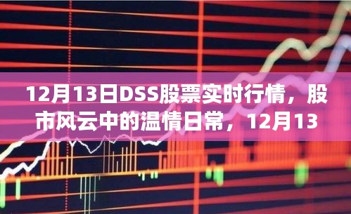 12月13日DSS股票实时行情解析，股市风云中的温情日常
