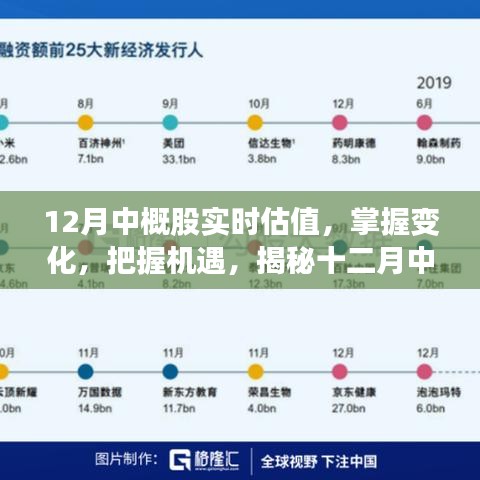 揭秘十二月中概股实时估值，掌握变化，把握机遇的魅力之旅