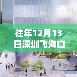 透视往年深圳飞往海口航班动态，航班实时分析与个人观点分享