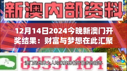 12月14日2024今晚新澳门开奖结果：财富与梦想在此汇聚，见证奇迹时刻。