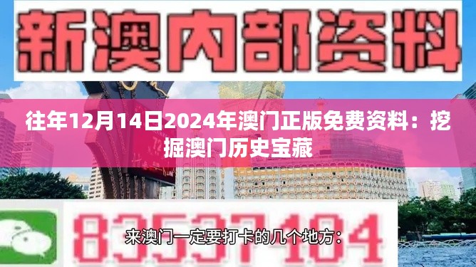往年12月14日2024年澳门正版免费资料：挖掘澳门历史宝藏