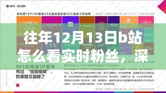 如何通过B站在往年12月13日实现粉丝实时观测的深度指南与评测