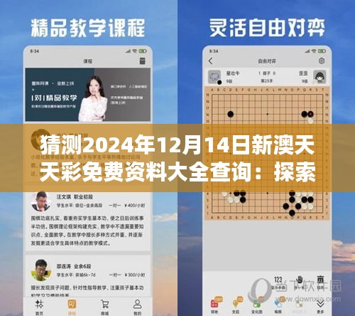 猜测2024年12月14日新澳天天彩免费资料大全查询：探索彩票中奖机率的科学方法
