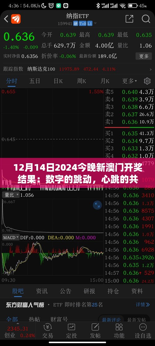 12月14日2024今晚新澳门开奖结果：数字的跳动，心跳的共鸣，新澳门开奖夜。