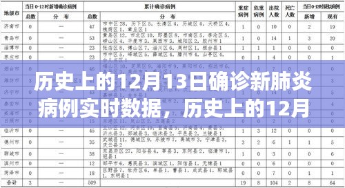 历史上的12月13日新冠肺炎确诊病例实时数据解析与报告