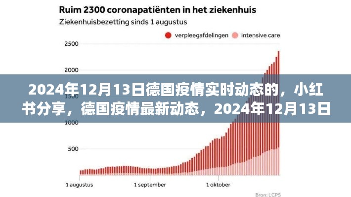 2024年12月13日德国疫情实时动态观察与小红书分享