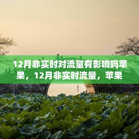 苹果引领下的非实时流量探索，12月流量影响下的自然美景与内心平静之旅