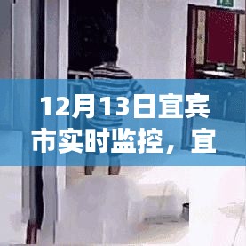 宜宾市实时监控系统深度观察，宜宾市12月13日实时监控数据解析
