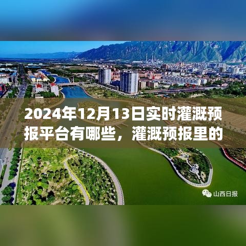 2024年灌溉智慧之旅，实时预报平台与温情时光的探索