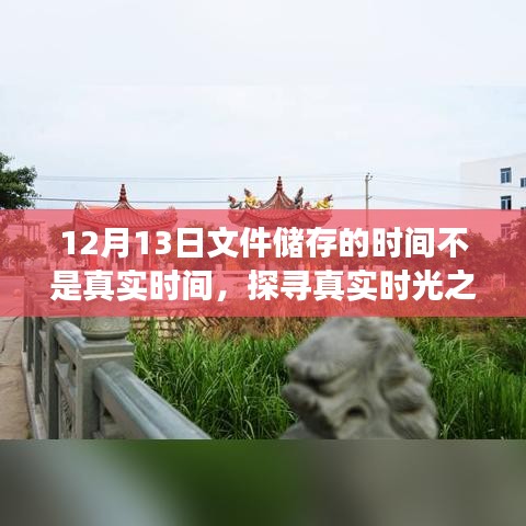 探寻真实时光之旅，自然美景治愈数字时间的探索之旅