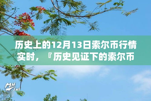 历史见证下的索尔币行情，前沿科技引领投资格局变革