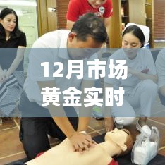 黄金市场最新动态解析，把握市场脉搏，自信闪耀黄金投资之路