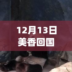 美香归国智能追踪启程，实时航班查询开启熊猫归国新纪元