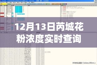 揭秘芮城花粉浓度实时查询背后的故事，深度解读与实时数据解析（12月13日）