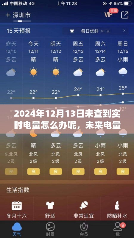 智能电量监控系统的革新之旅，未来电量无忧，解决实时电量查询难题