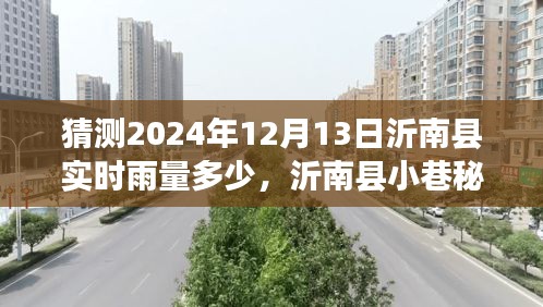 沂南县雨情探秘，小巷奇遇与特色小店惊喜，预测2024年12月13日实时雨量