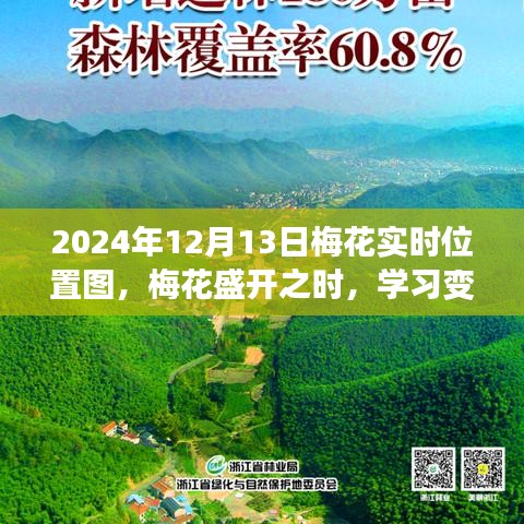 梅花盛开时，自信与成就共舞——2024年梅花实时位置图