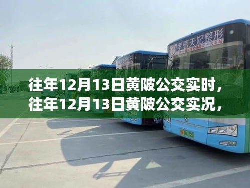 往年12月13日黄陂公交实况，出行参考与体验分享当日实时资讯