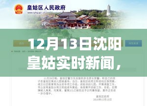 沈阳皇姑温馨日常新闻故事，爱与陪伴的节日序曲（12月13日实时更新）