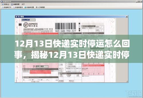 揭秘，12月13日快递实时停运的背后真相及应对措施