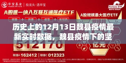 魏县疫情实时数据更新，学习之光照亮坚韧成长之路