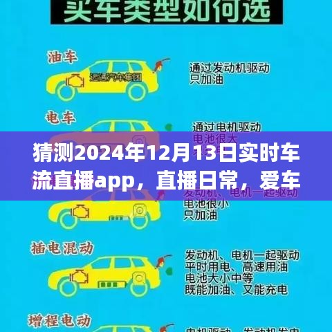 XXXX年实时车流直播app直播日常,爱车流中的温情时光——车轮故事回顾 2024年12月13日特辑