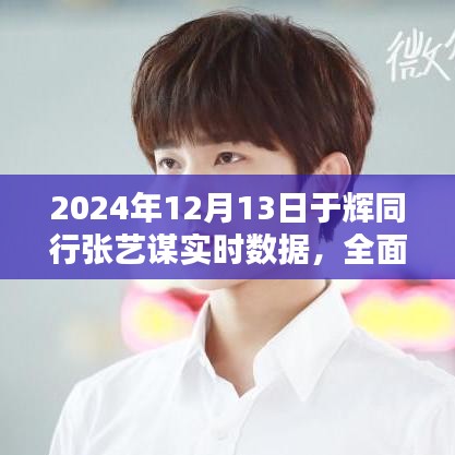 深度解析，于辉同行张艺谋实时数据产品，全面评测与数据深度解读