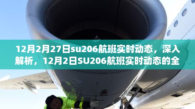 SU206航班实时动态深度解析与全面评测介绍（12月2日）