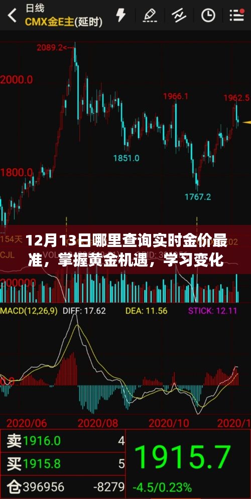 模特 第113页