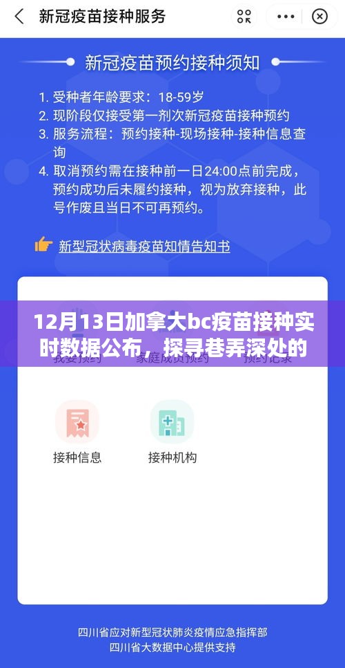 加拿大BC疫苗接种实时数据与巷弄深处独特魅力的探寻，特色小店的奇妙逅遇