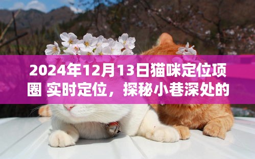 实时定位猫咪乐园，守护喵星人的时尚定位项圈，探索小巷深处的猫咪世界
