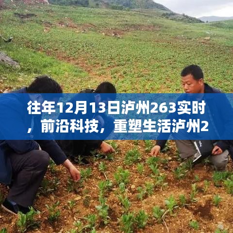 泸州263实时智能系统，革新之巅引领智能新时代，重塑生活科技展望历年回顾