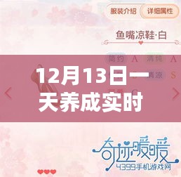 实用步骤指南，新手与进阶用户都能在12月13日掌握实时号养成技巧！