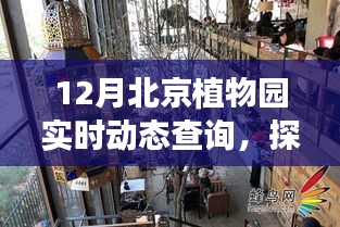 探秘北京植物园绿意秘境，实时动态下的惊喜小店与秘境探秘