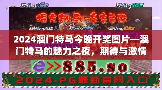 2024澳门特马今晚开奖图片—澳门特马的魅力之夜，期待与激情的碰撞