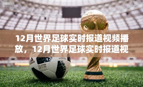 12月世界足球实时报道视频播放，全面评测与介绍产品专题