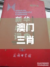 澳门三肖三码精准100%新华字典,精选解读100%精准_经典款4.258