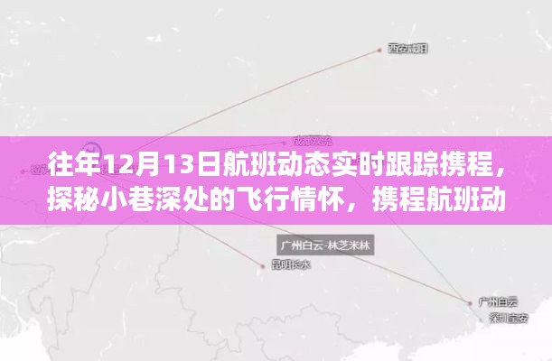携程航班动态与小巷特色小店的奇妙邂逅，飞行情怀的探秘之旅