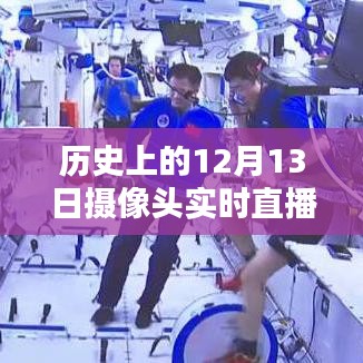 虫言鸟迹 第2页