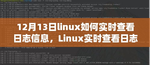 Linux实时查看日志信息的最佳实践与解析观点探讨（日期，12月13日）