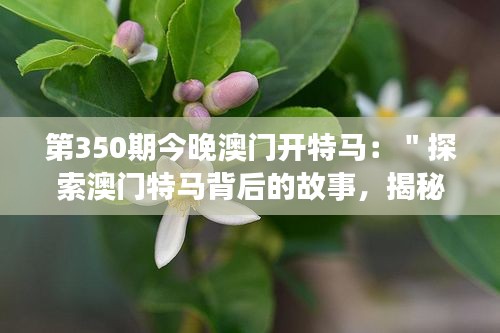 第350期今晚澳门开特马：＂探索澳门特马背后的故事，揭秘第350期的兴奋与期待