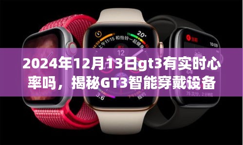 揭秘GT3智能穿戴设备实时心率监测功能，最新动态与未来展望（2024年12月13日版）