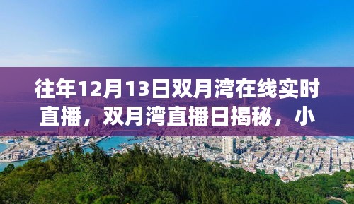 双月湾直播日，探寻小巷深处的独特风味与美食秘境揭秘之旅