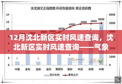 沈北新区实时风速查询，气象数据深度探索之旅